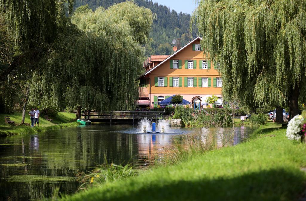Hotel Zur Alten Muehle نوينبورغ المظهر الخارجي الصورة